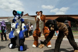 ConFuzzled 2013