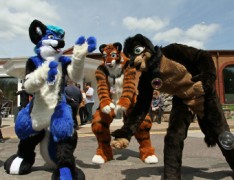 ConFuzzled 2013