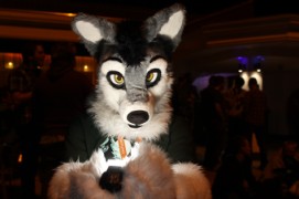 ConFuzzled 2013