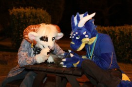 ConFuzzled 2013