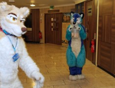 ConFuzzled 2013