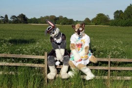 ConFuzzled 2013