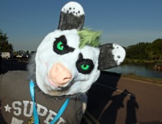 ConFuzzled 2013