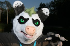 ConFuzzled 2013