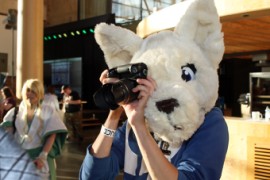 Desucon 2012