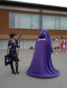 Desucon 2012