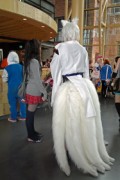 Desucon 2012