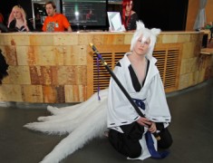 Desucon 2012