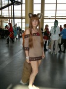 Desucon 2012