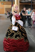 Desucon 2012