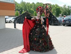 Desucon 2012