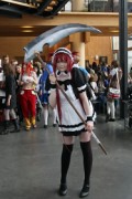 Desucon 2012