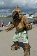 Desucon 2012