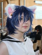 Desucon 2012