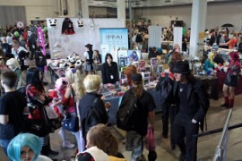 Desucon 2013