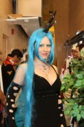 Desucon 2013