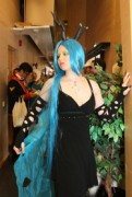 Desucon 2013