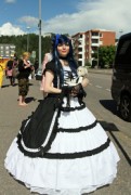 Desucon 2013