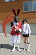 Desucon 2013