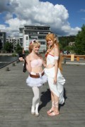 Desucon 2013