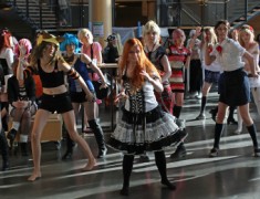 Desucon 2013