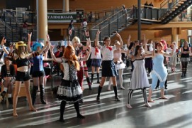 Desucon 2013