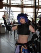 Desucon 2013