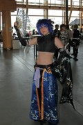 Desucon 2013