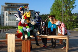 Desucon 2014