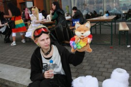 Desucon 2014