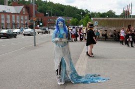Desucon 2014