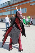 Desucon 2014