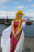 Desucon 2016