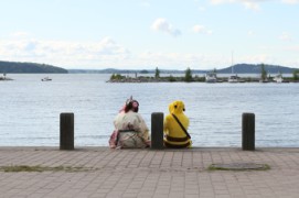 Desucon 2016