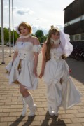 Desucon 2017