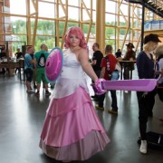Desucon 2017