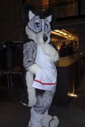 Desucon Frostbite 2014
