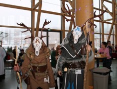 Desucon Frostbite 2014