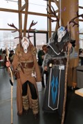 Desucon Frostbite 2014