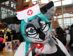 Desucon Frostbite 2015