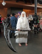 Desucon Frostbite 2016