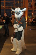 Desucon Frostbite 2016