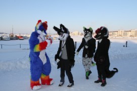 Desucon Frostbite 2016