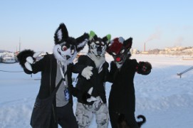 Desucon Frostbite 2016