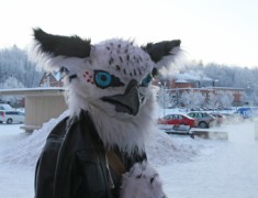 Desucon Frostbite 2016