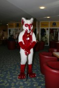 Eurofurence 13