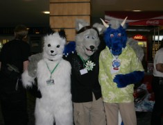 Eurofurence 13