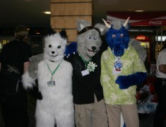 Eurofurence 13