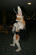 Eurofurence 13