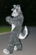 Eurofurence 13